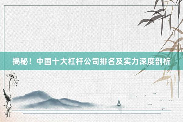 揭秘！中国十大杠杆公司排名及实力深度剖析
