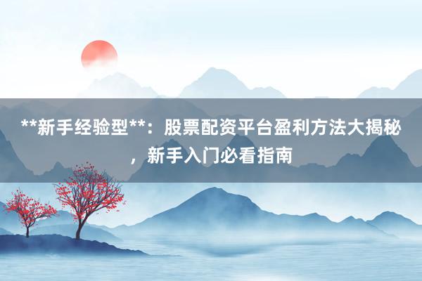 **新手经验型**：股票配资平台盈利方法大揭秘，新手入门必看指南