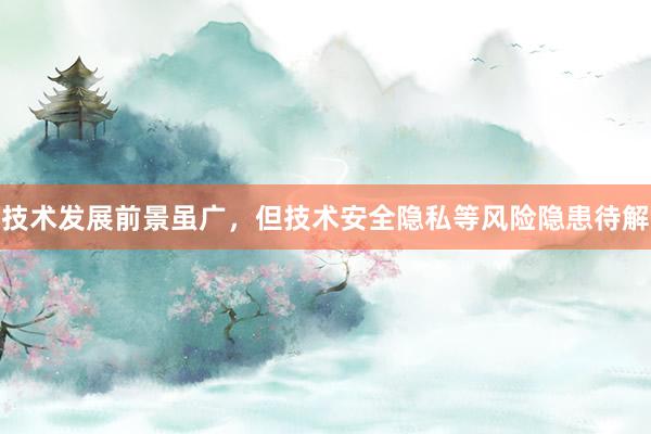 技术发展前景虽广，但技术安全隐私等风险隐患待解