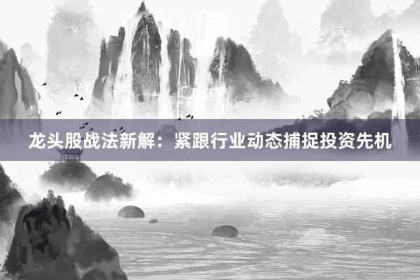 龙头股战法新解：紧跟行业动态捕捉投资先机