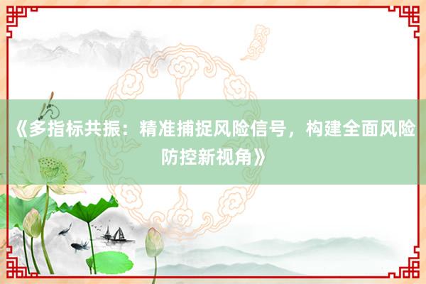 《多指标共振：精准捕捉风险信号，构建全面风险防控新视角》