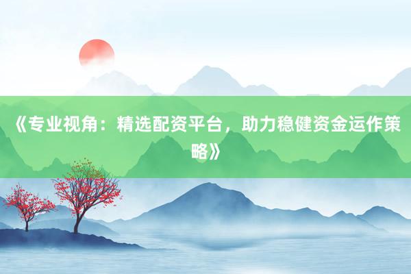 《专业视角：精选配资平台，助力稳健资金运作策略》
