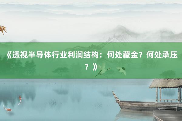 《透视半导体行业利润结构:何处藏金?何处承压?》
