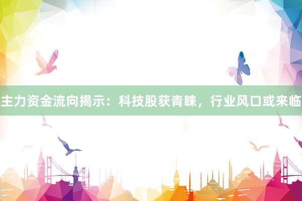 主力资金流向揭示：科技股获青睐，行业风口或来临