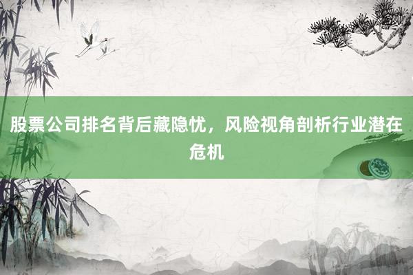 股票公司排名背后藏隐忧，风险视角剖析行业潜在危机