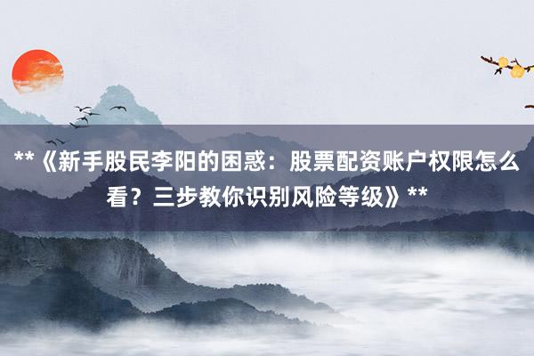 **《新手股民李阳的困惑：股票配资账户权限怎么看？三步教你识别风险等级》**
